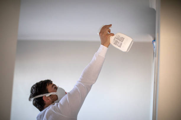 Best Commercial Mold Remediation in Cottonwood, CA